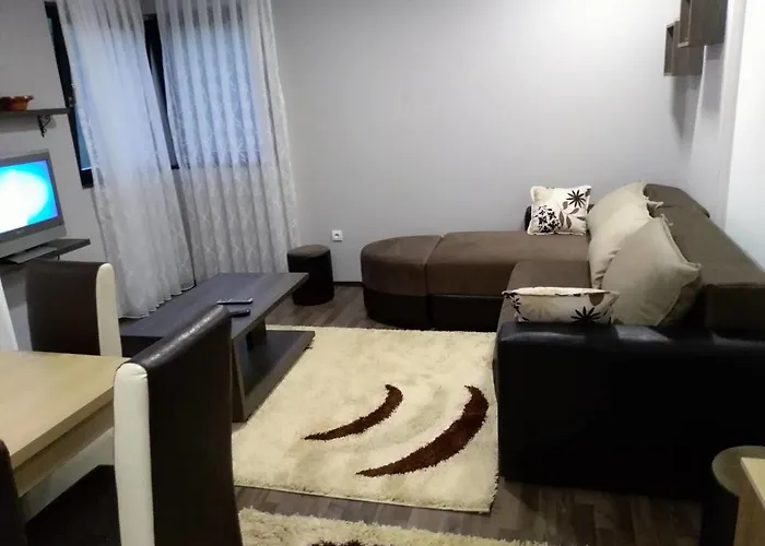 Jankovic 兹拉蒂博尔